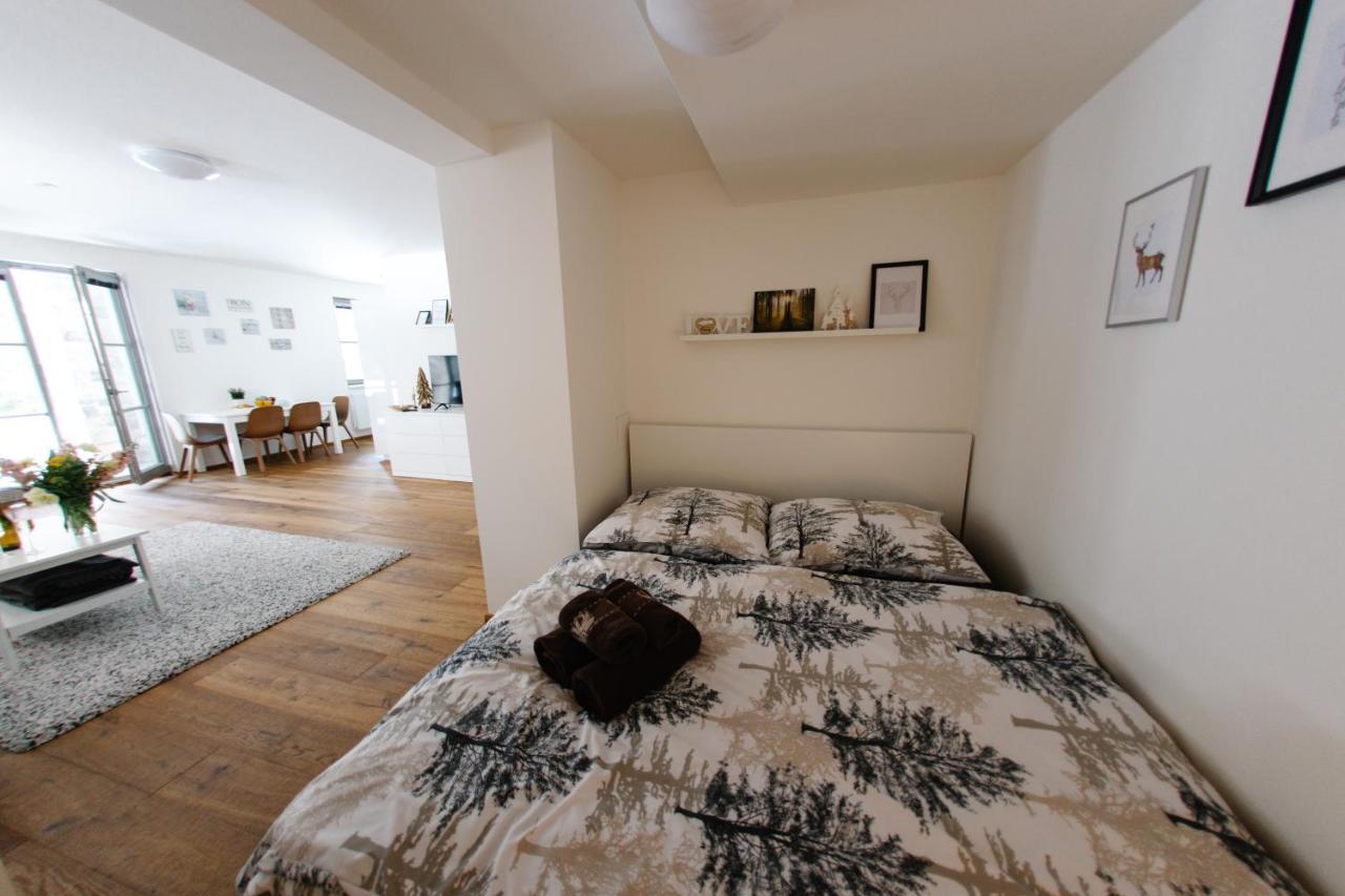 Apartman S Nadhernym Vyhledem V Centru Harrachova Exterior photo